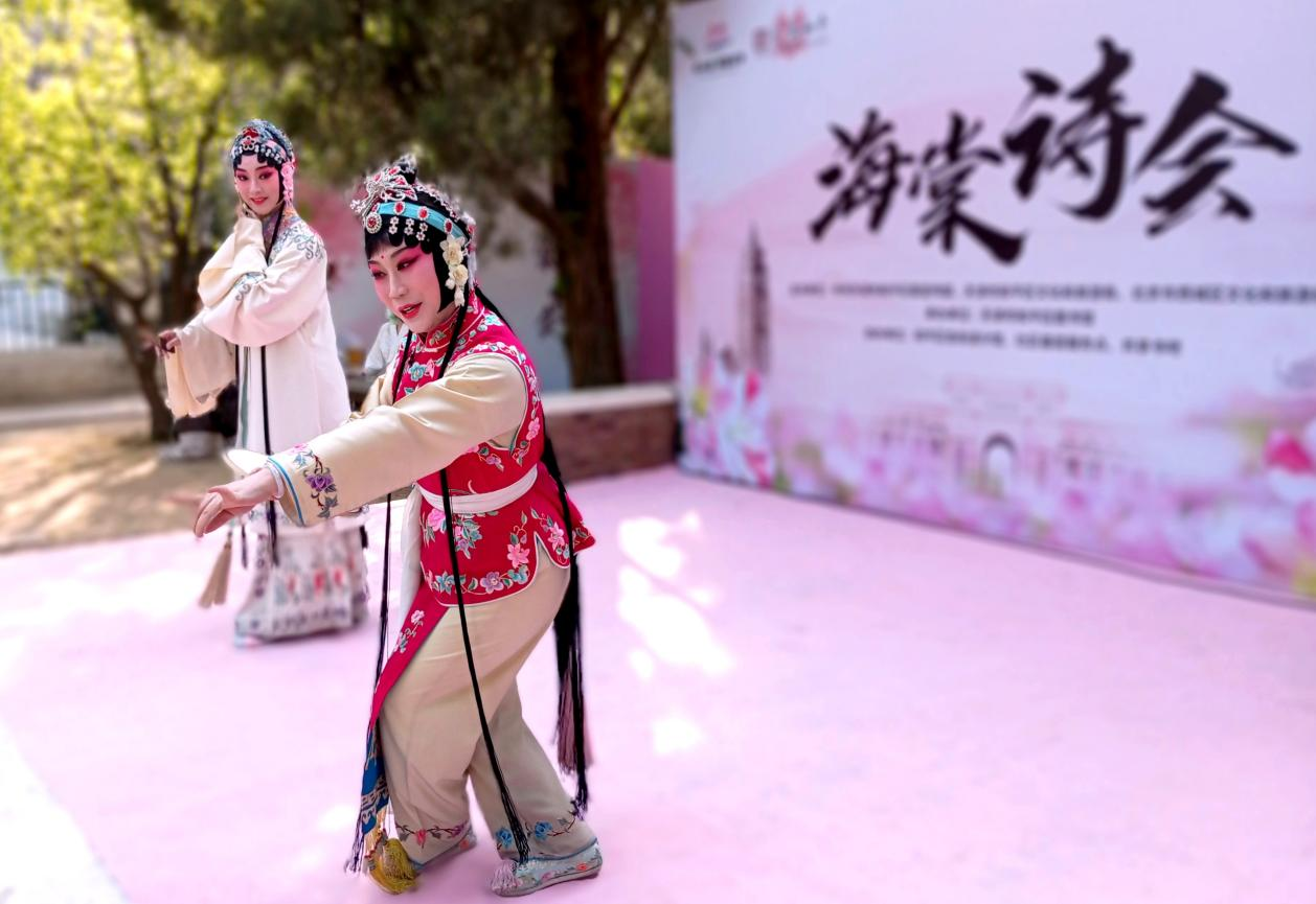 第三届五大道海棠花节在津圆满落幕-第1张图片-便民百事通网