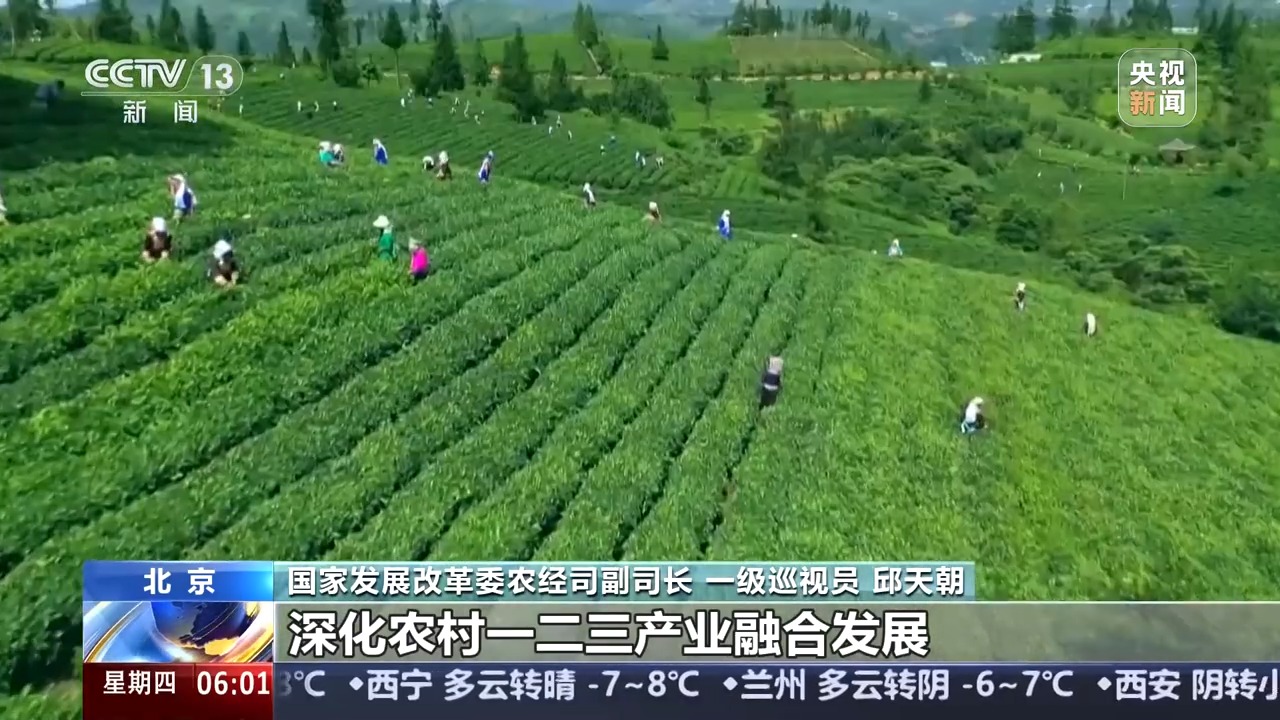 如何进一步推动乡村产业高质量发展？有了更明确的方向指引-第1张图片-便民百事通网