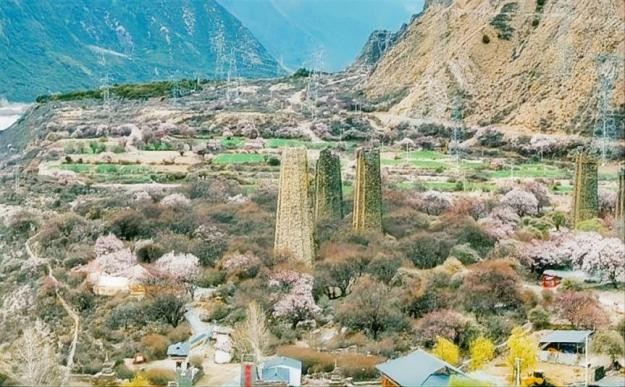 工布江达桃花节:以文旅融合绘就雪域春色新篇章-第1张图片-便民百事通网 工布江达桃花节:以文旅融合绘就雪域春色新篇章-第1张图片-便民百事通网
